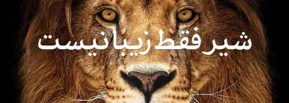 شیر فقط زیبا نیست!